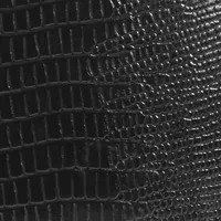 %d9%85%d8%b4%da%a9%db%8c-%d9%84%db%8c%d8%b2%d8%a7%d8%b1%d8%af